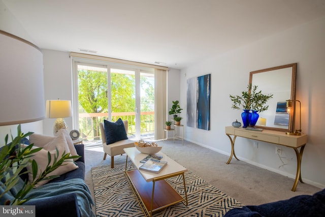 living room with carpet floors