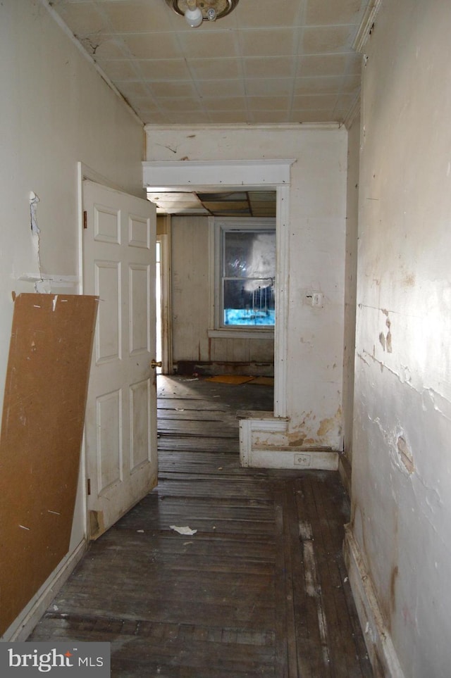 hall featuring dark hardwood / wood-style flooring