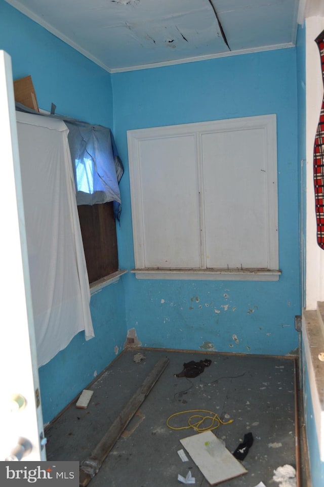 bathroom with ornamental molding