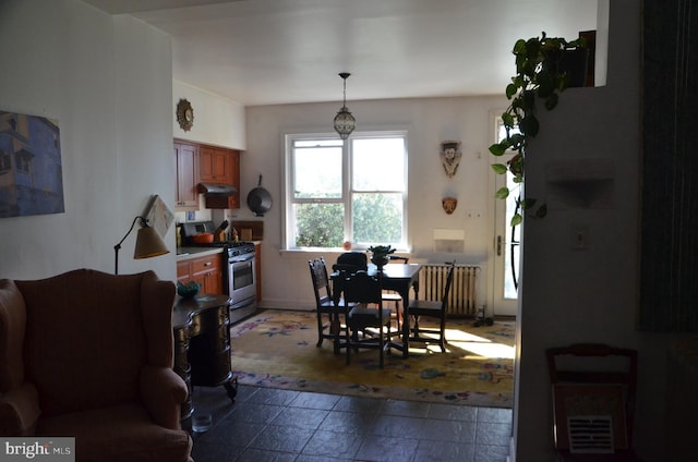 dining area with radiator