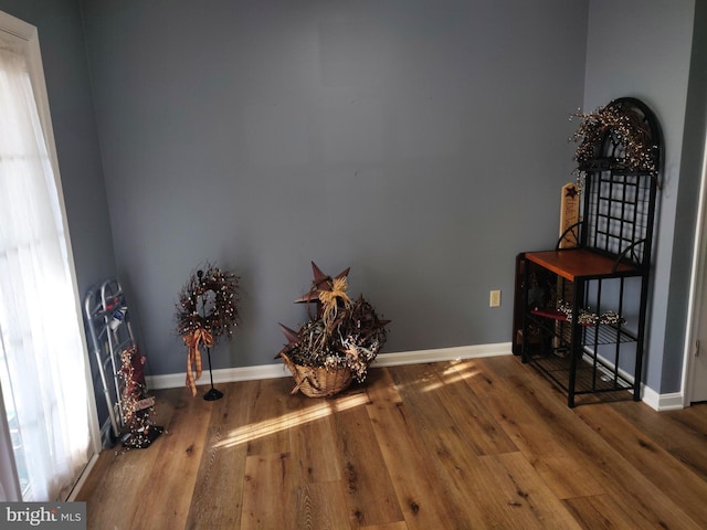 misc room featuring wood-type flooring