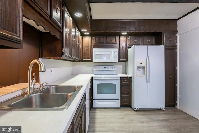 kitchen with dark brown cabinets, light hardwood / wood-style floors, white appliances, and sink