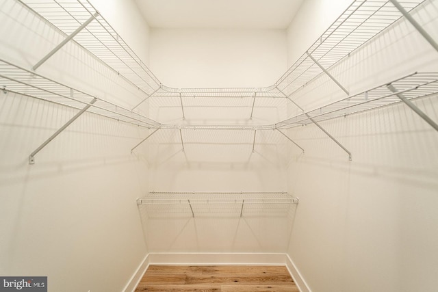 spacious closet featuring hardwood / wood-style flooring