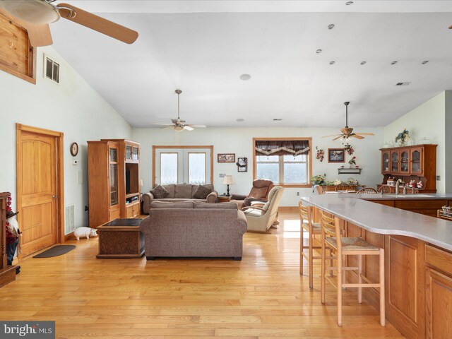 living room featuring light wood-type flooring and vaulted ceiling