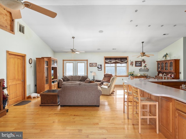 living room featuring light hardwood / wood-style floors and vaulted ceiling