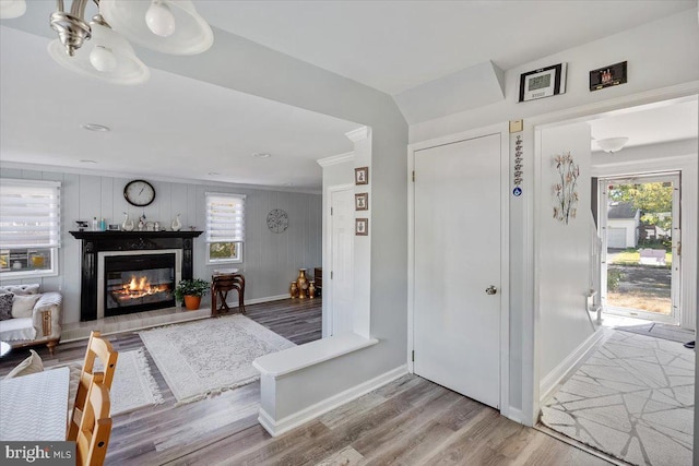 entrance foyer with wood-type flooring and a wealth of natural light