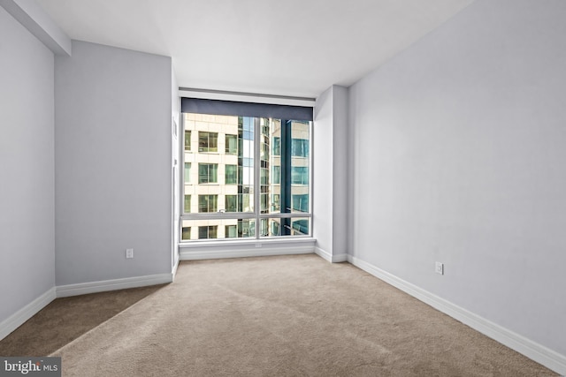 empty room featuring carpet floors