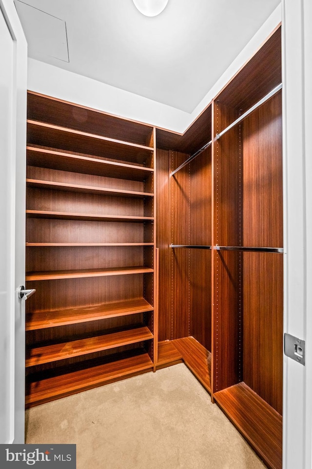 spacious closet with light colored carpet