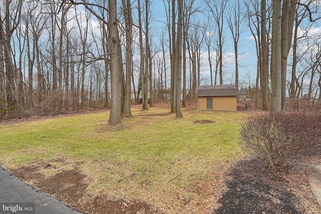 view of yard featuring a storage unit