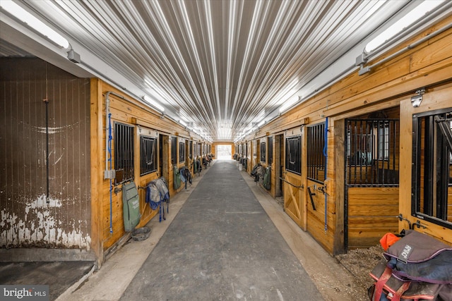 view of horse barn