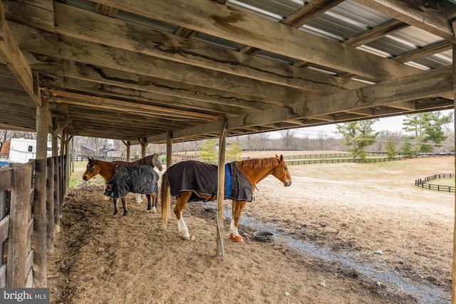 view of horse barn featuring a rural view