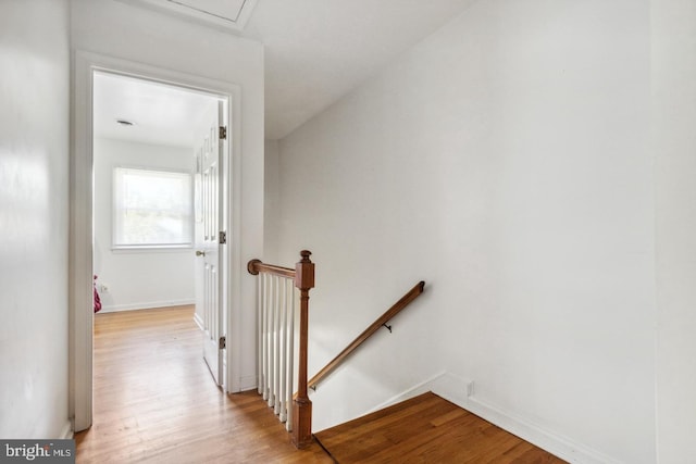 staircase featuring wood-type flooring