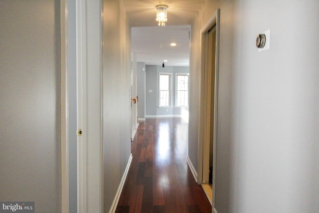 hallway featuring dark hardwood / wood-style flooring