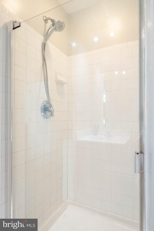 bathroom with a shower stall