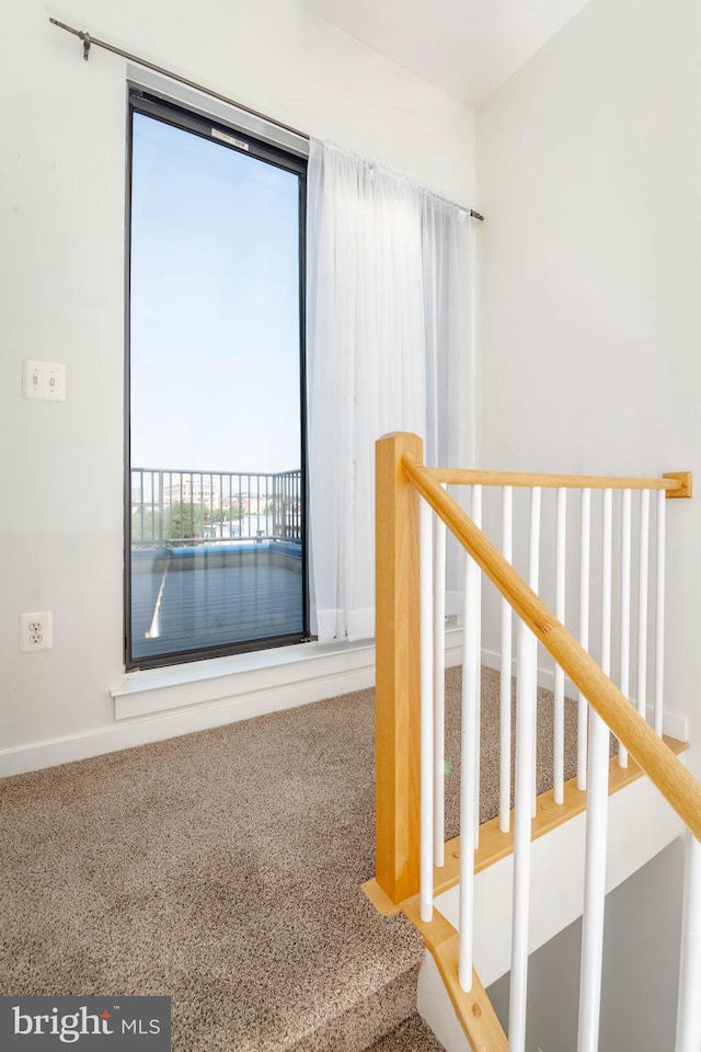 interior space featuring carpet floors