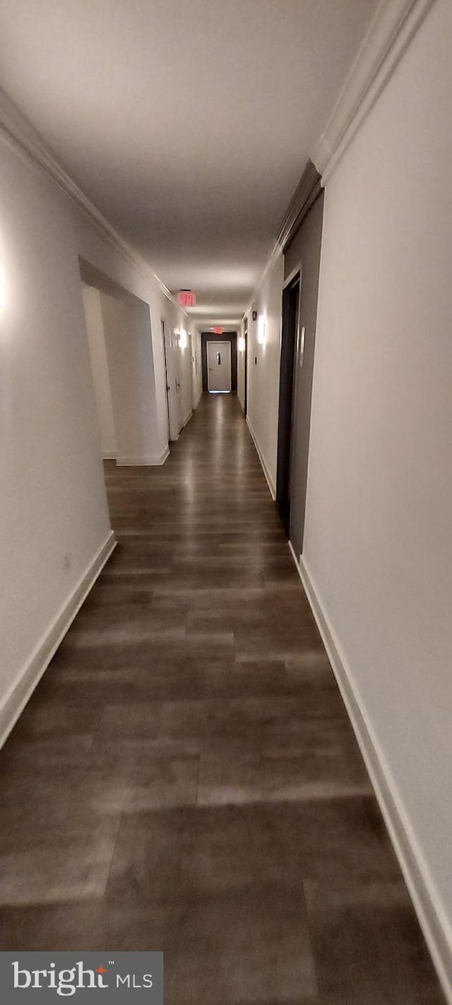 corridor with dark hardwood / wood-style flooring and ornamental molding