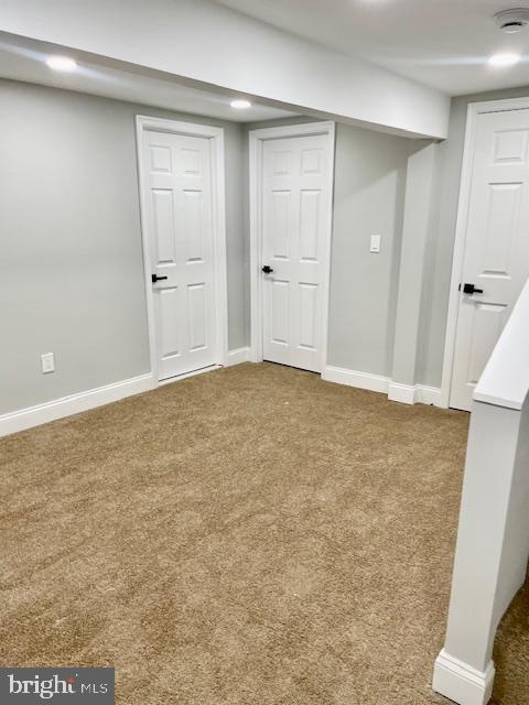 basement featuring carpet