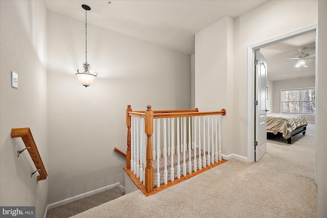 staircase with carpet flooring and ceiling fan