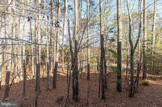 view of landscape