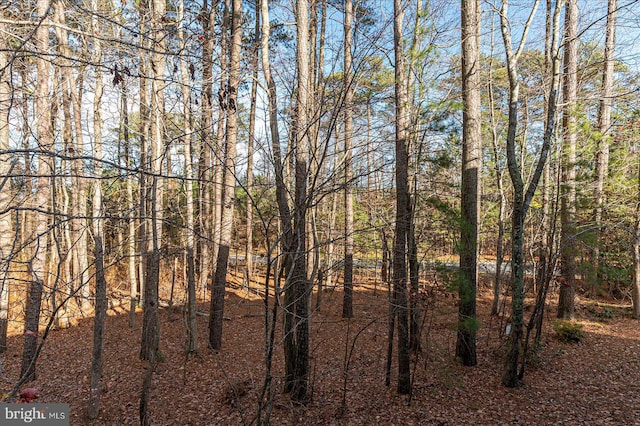 view of local wilderness