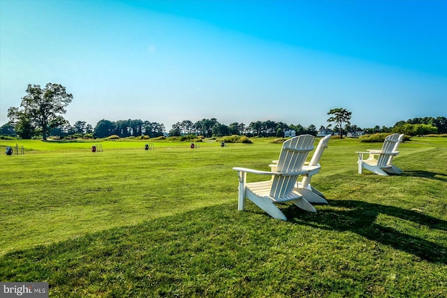 view of property's community with a yard