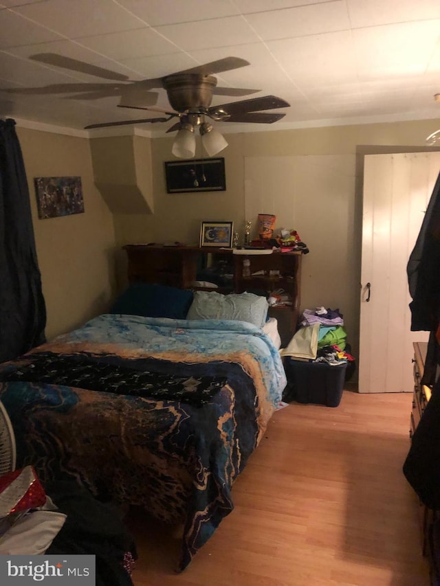 bedroom with ceiling fan, hardwood / wood-style floors, and crown molding