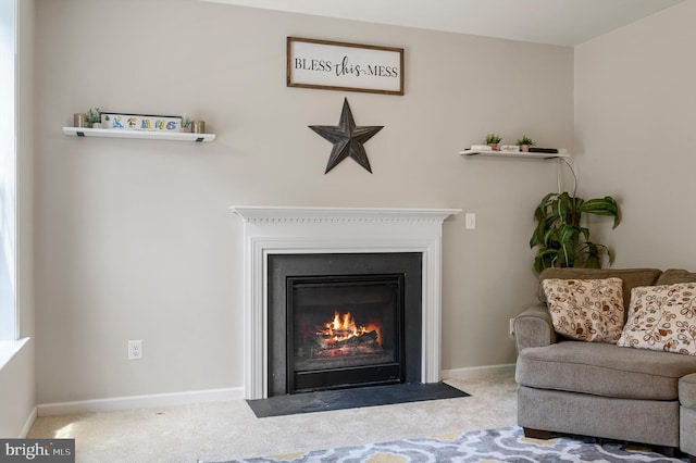 interior details with carpet floors