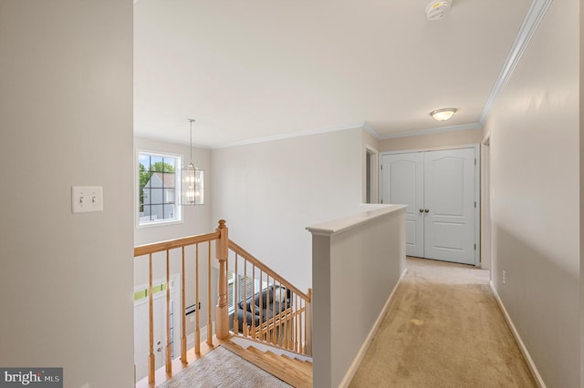 hall with light colored carpet, crown molding, and a chandelier