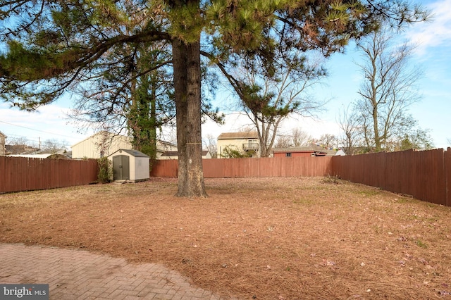 view of yard with a storage unit