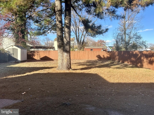 view of yard with a storage shed