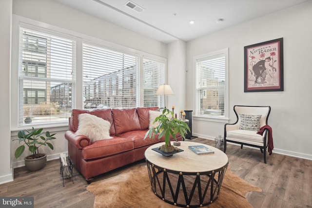 living room with wood-type flooring