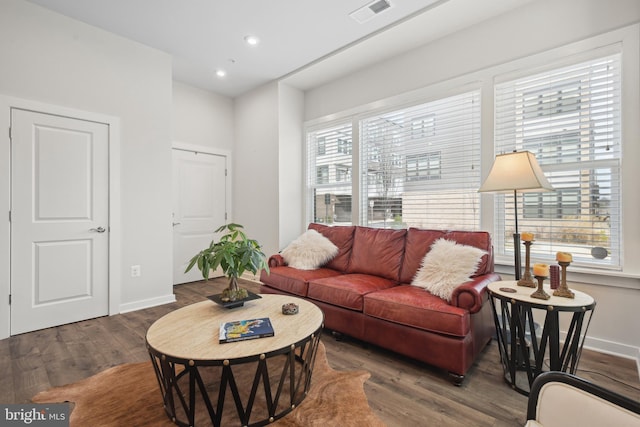 living room featuring dark hardwood / wood-style flooring