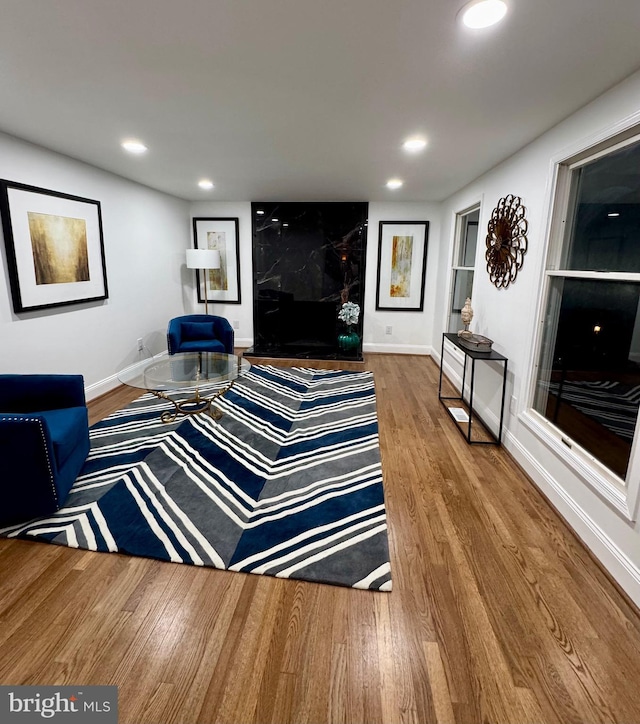 living room featuring wood-type flooring