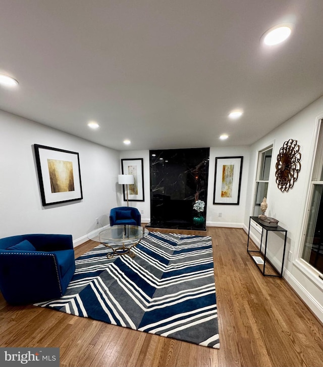 living room with wood-type flooring