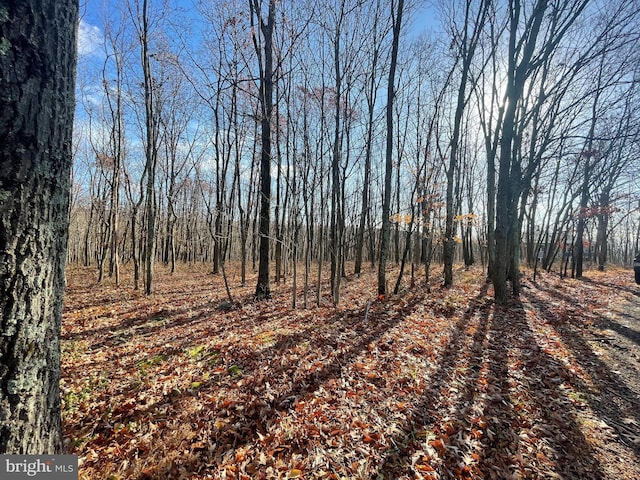 Listing photo 2 for 0 Stone Ridge Rd Lot 27, Albrightsville PA 18210