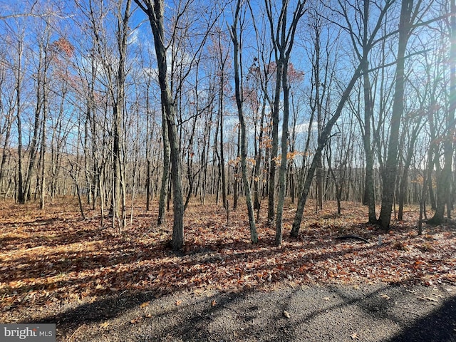 Listing photo 3 for 0 Stone Ridge Rd Lot 27, Albrightsville PA 18210