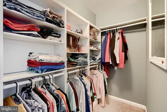 spacious closet featuring light colored carpet