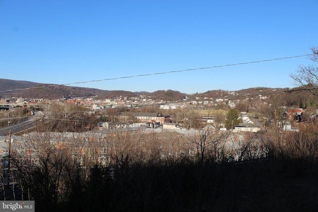 view of mountain feature