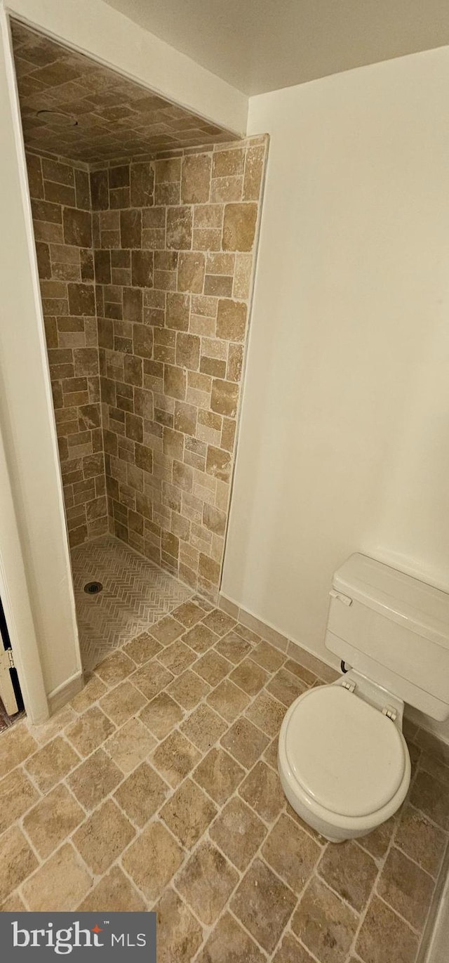 bathroom with a shower and toilet