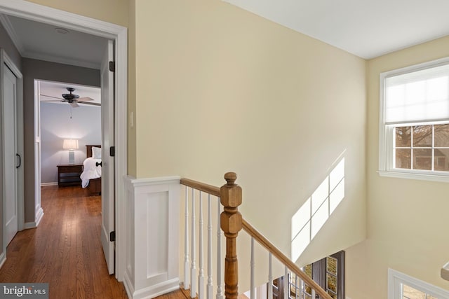 hallway with dark hardwood / wood-style flooring and ornamental molding