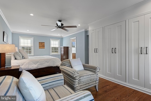 bedroom with ceiling fan, crown molding, dark hardwood / wood-style floors, and multiple closets