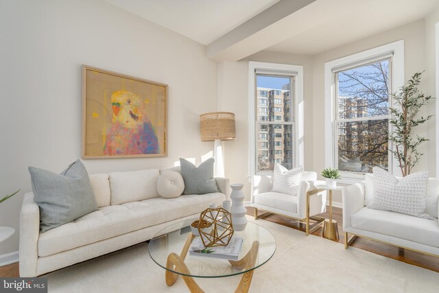 living room with hardwood / wood-style floors