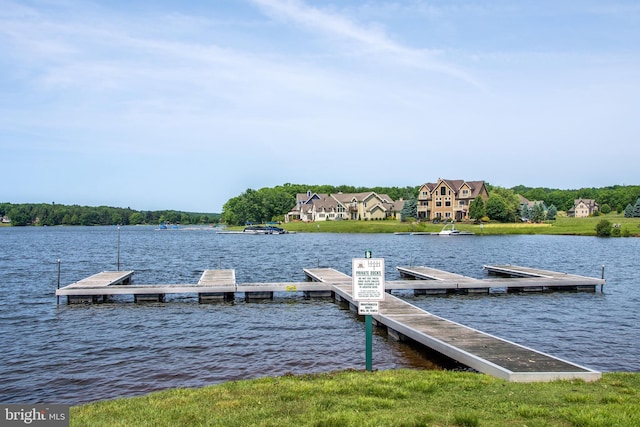 dock area with a water view