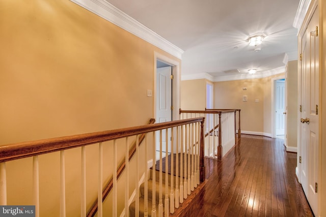 hallway featuring dark hardwood / wood-style flooring and ornamental molding