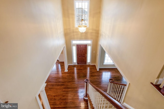 foyer featuring a towering ceiling and dark hardwood / wood-style flooring