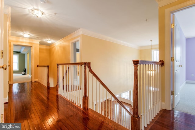 corridor with dark wood-type flooring, crown molding, and plenty of natural light