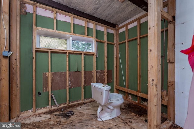 bathroom featuring toilet