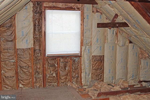 attic featuring plenty of natural light