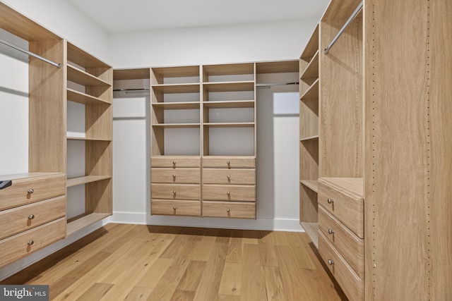 8206 Grubb Rd, Chevy Chase, MD 20815 - spacious closet featuring light wood finished floors