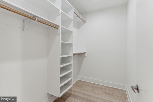 walk in closet featuring light hardwood / wood-style floors